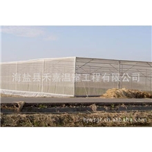 厂家直供优质防虫降温网温室智能防虫温室大棚蔬菜温室大棚