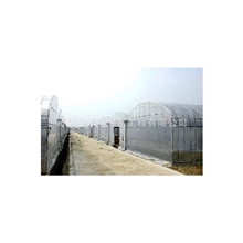 大量供应多种规格连栋温室智能温室大棚玻璃温室大棚低价供应
