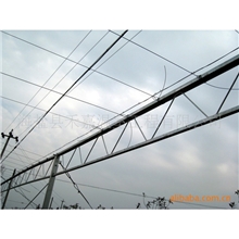 厂家直销供应防虫网大棚蔬菜种植大棚蔬菜防虫网大棚量大从优