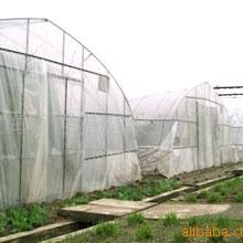 厂家供应TC825单体温室622型单体管棚