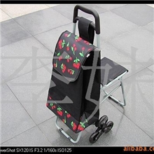 爬楼带凳折叠休闲购物车手拉购物车迷你购物车