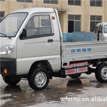 ZT1.0T电动货车