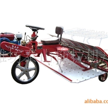 潍泰金王子6300B型乘坐式插秧机/水稻插秧机/价位低