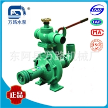 专业出售80BP-65-210W农业园林喷灌泵