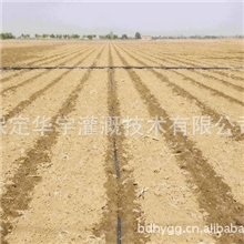 玉米，棉花等农田作物滴灌设备-安装方便