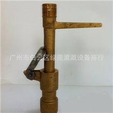 6分黄铜快速取水阀DN20灌溉取水器取水栓