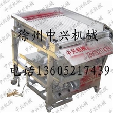 优质青毛豆剥壳机/剥毛豆机报价/毛豆剥壳机