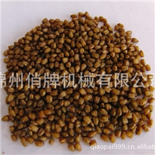 黑苦荞脱壳机、黑苦荞脱皮机、黑苦荞茶