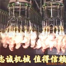 供应志诚屠宰设备/屠宰机械/屠宰流水线
