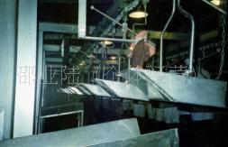 屠宰设备：精品特供卫检输送机(图)