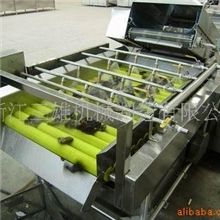 供应QXJ木耳清洗去毛机;菌类清洗设备