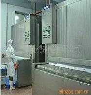 SSD型网带式隧道速冻机冷冻蔬菜