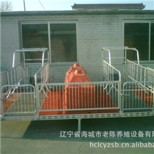 猪厂设备猪用双体产床猪用产床加工猪用产床