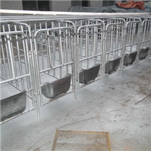 畜牧养设备猪用设备猪用定位栏母猪定位栏