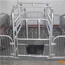 供应钢筋底猪产床