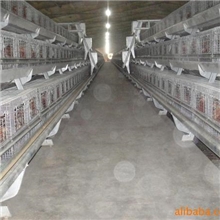 青岛供应蛋鸡笼优质鸡笼养殖笼具