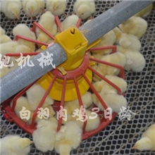青州邦驰机械肉鸡养殖设备养鸡设备养鸡料线价格养鸡料线配件