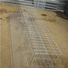 限量出售蛋鸡笼