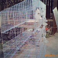 生产批发12门商品兔笼&para;养殖兔子兔子批发兔子养殖设备