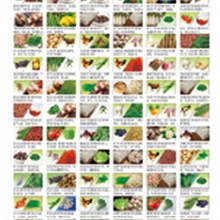 [厂家直销]食物科学保健防水挂图批发食物相宜相克健康挂图批发