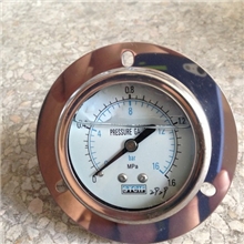 上海天川压力表/耐震轴向带边压力表/YN-60ZT/MPA全规格现货直销