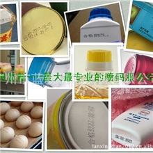 临时出租广东进口二手食品饮料日期喷码机小字符喷码机打码机