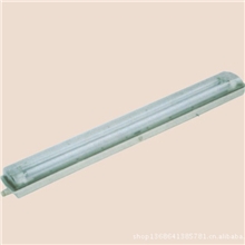 厂家供应BAY51一Q(BYS)防防腐全塑荧光灯(IIC)/支持混批欢迎订购