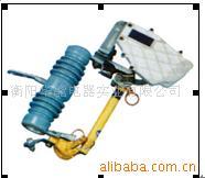 RW10-10F/100A型户外拉负荷跌落熔断器