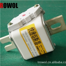 RS8快速熔断器低压熔断器熔断器保险丝Zc105N
