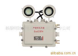 供应BCJ系列防爆照明应急灯防爆灯