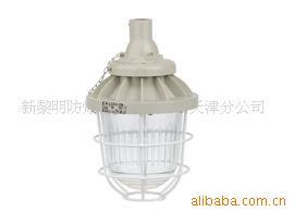 供应CCd200系列隔爆型防爆灯