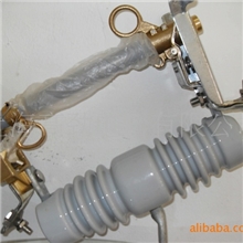 ABB户外高压跌落式熔断器NCX-10/100A