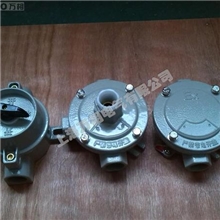 粉尘防爆照明开关(DIP)|防爆照明开关|油田防爆配电箱|防爆电器