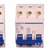 低压空气开关天水二一三小型断路器DZX4-60系列小型断路器