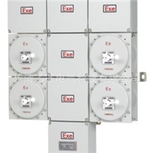 供应BXM（D）53系列防爆照明（动力）配电箱IIC