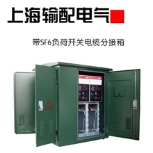 DFW8-12/630型SF6六氟化硫负荷开关电缆分接箱(户外开闭所)