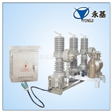 厂家直销断路器ZW32M-12高压永磁断路器真空断路器保质保量