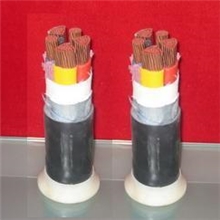 供应沈缆金环电缆