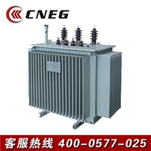 【企业集采】S1163KVA10/0.4KV三相变压器货真价实包退换