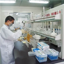 供应CaProp65(TotalLead/Phthalates-5P)