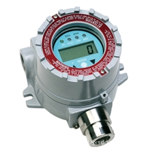 RAEGuardEC有毒气体检测仪