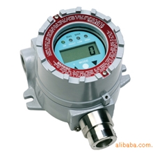 RAEGuardEC有毒气体检测仪[FGM-1301]