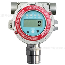 RAEGuardsEC有毒气体检测仪【FGM-1300S】