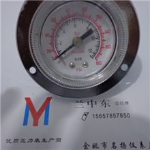 供应厂家直销仪器仪表,压力仪表,压力表