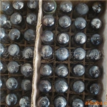 各种胆机音响功放真空电子管,6J1电子管(图)