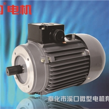 批发YS5022|AO2-5022电机|三相60W|2极|转速2800
