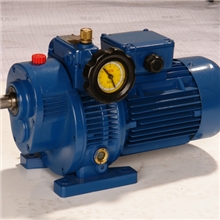 大众传动提供MB无级变速机