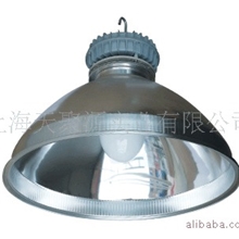 工矿灯无极灯路灯节能灯