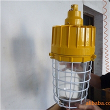 供应BAD59防爆灯
