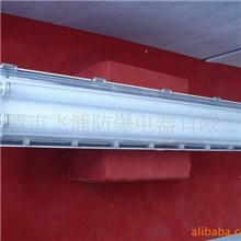 BYS防爆防腐全塑荧光灯2&times;40W